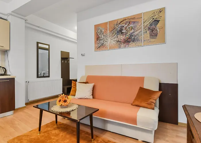Apartment Sabinelor 79 *
