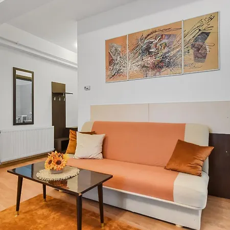 Apartment Sabinelor 79 *